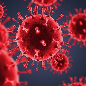 ノンエンベロープウイルス対策イメージ