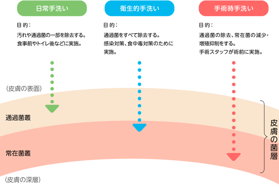 手洗いレベルの分類